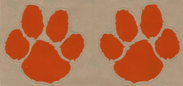 Tiger Paws Orange